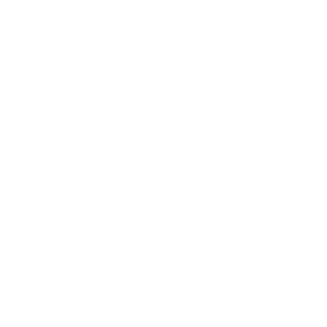 Ballsbridge pizza logo