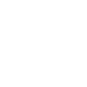 Vincenzos logo