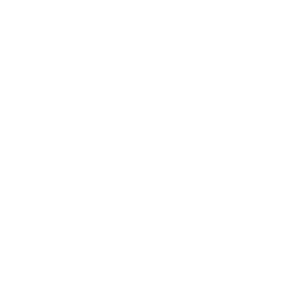 beshoff logo