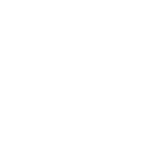 Base Wood Fired Pizza logo