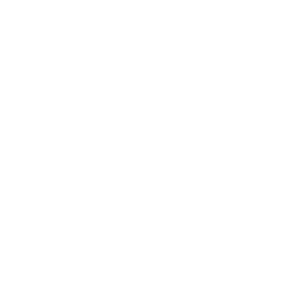 The Pizza Co Belfast Logo